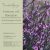 Verbena officinalis Bampton - Közönséges vasfű nagyvirágú