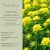Euphorbia epithymoides- Színeváltó Kutyatej