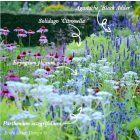 Agastache ‘Black Adder’ - Izsópfű