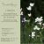 Libertia Grandiflora - Új-Zélandi Szaténvirág