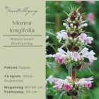 Morina longifolia - Hosszú levelű örvényvirág