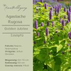  AGASTACHE rugosa Golden Jubilee- Izsópfű