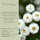 Achillea ptarmica 'Pearl- Group' - Kenyérbél Cickafark 'Pearl- Group'