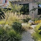 Calamagrostis brachytricha - Koreai Nádtippan