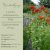 Lychnis chalcedonica  'Red' - Égőszerelem piros