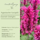 Agastache Danish Delight- Izsópfű